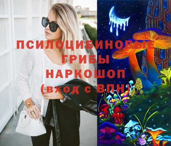 сатива Алексеевка