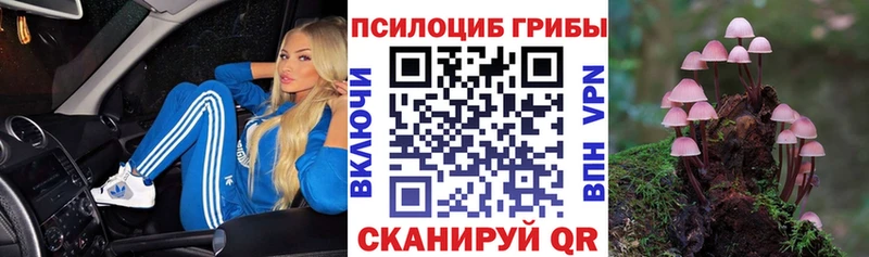 продажа наркотиков  omg ONION  Галлюциногенные грибы Psilocybe  Стародуб 